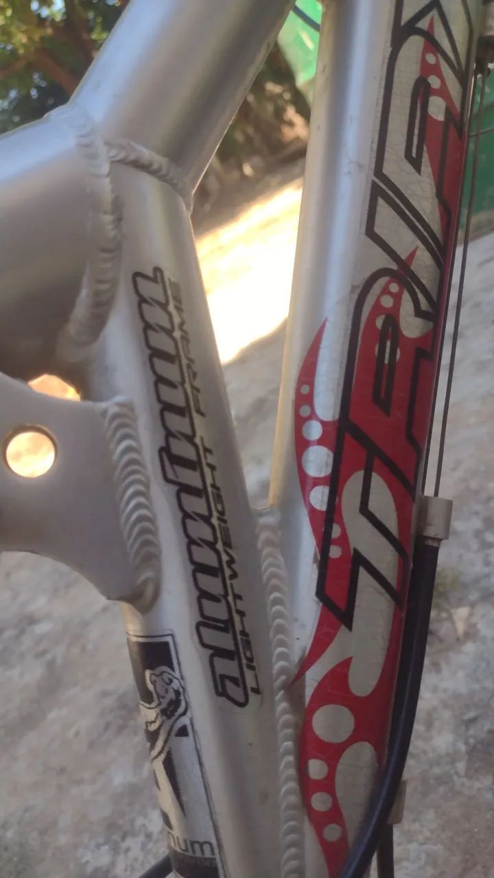 Bicicletatriex aluminum  - Foto 4