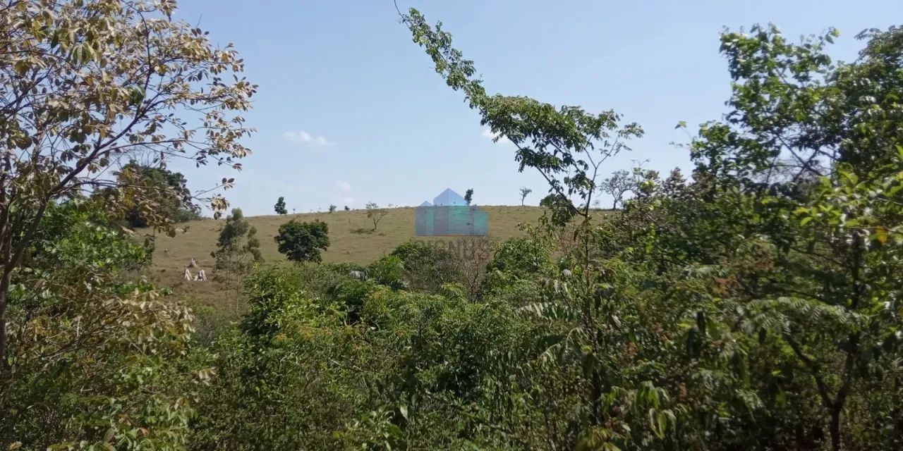 Lindo Sitio de 55000m2 Divisa Pedra Bela e Pinhalzinho - Foto 5