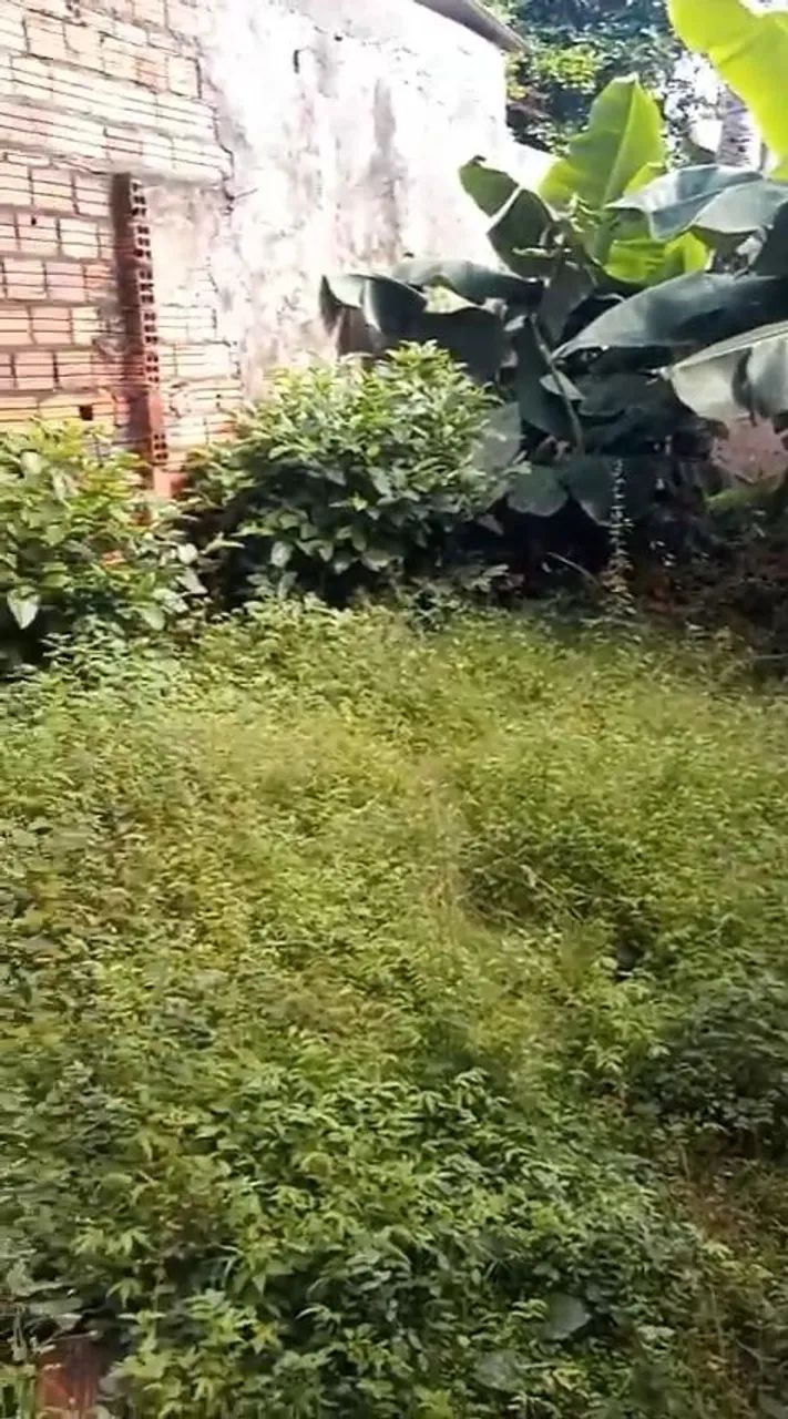 CASA NO CALHAU - Foto 4