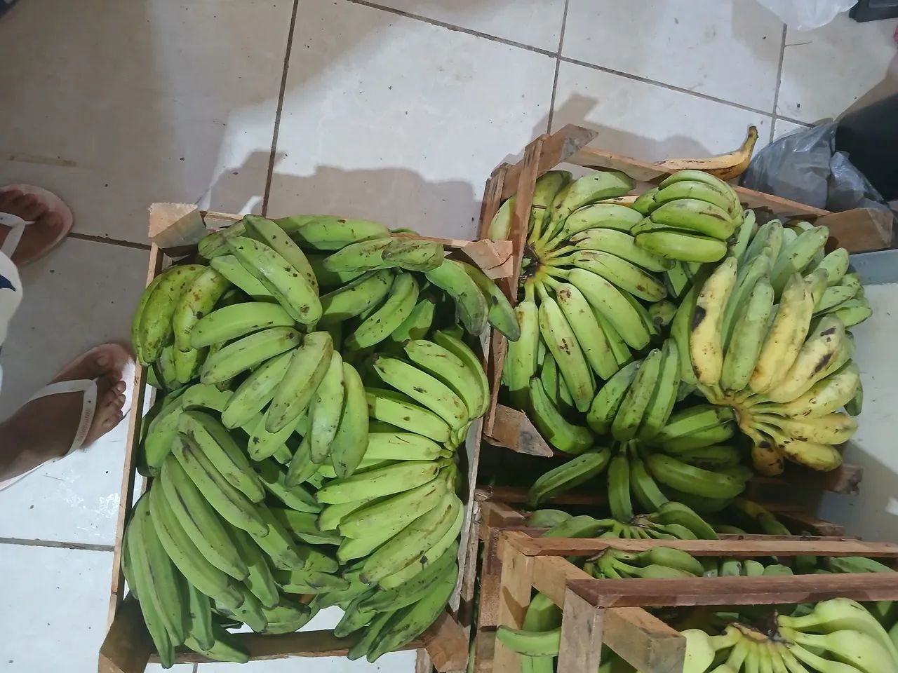 Vendo Banana ? 