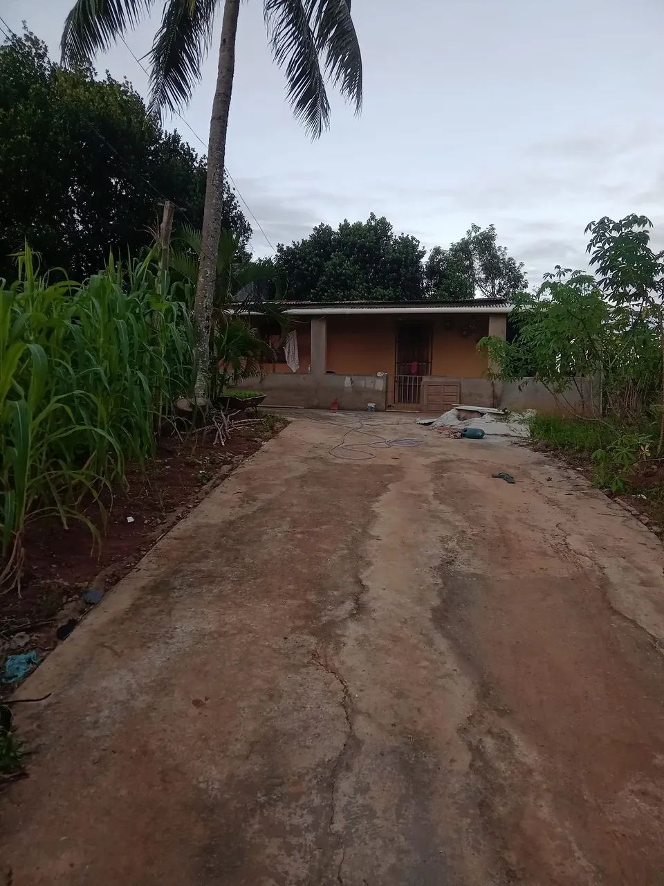Sítio a venda - Foto 4