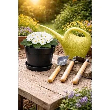 Kit Jardinagem Regador Ferramentas Vaso - Foto 6