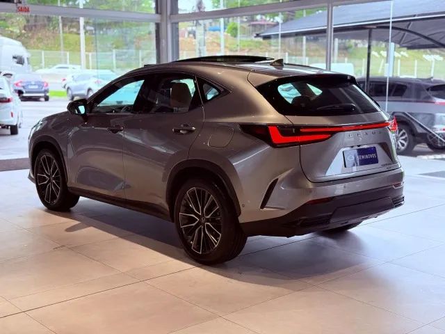 Lexus NX-450h+ AWD 2.5 16V Aut. (Híbrido), foto 11 de 12