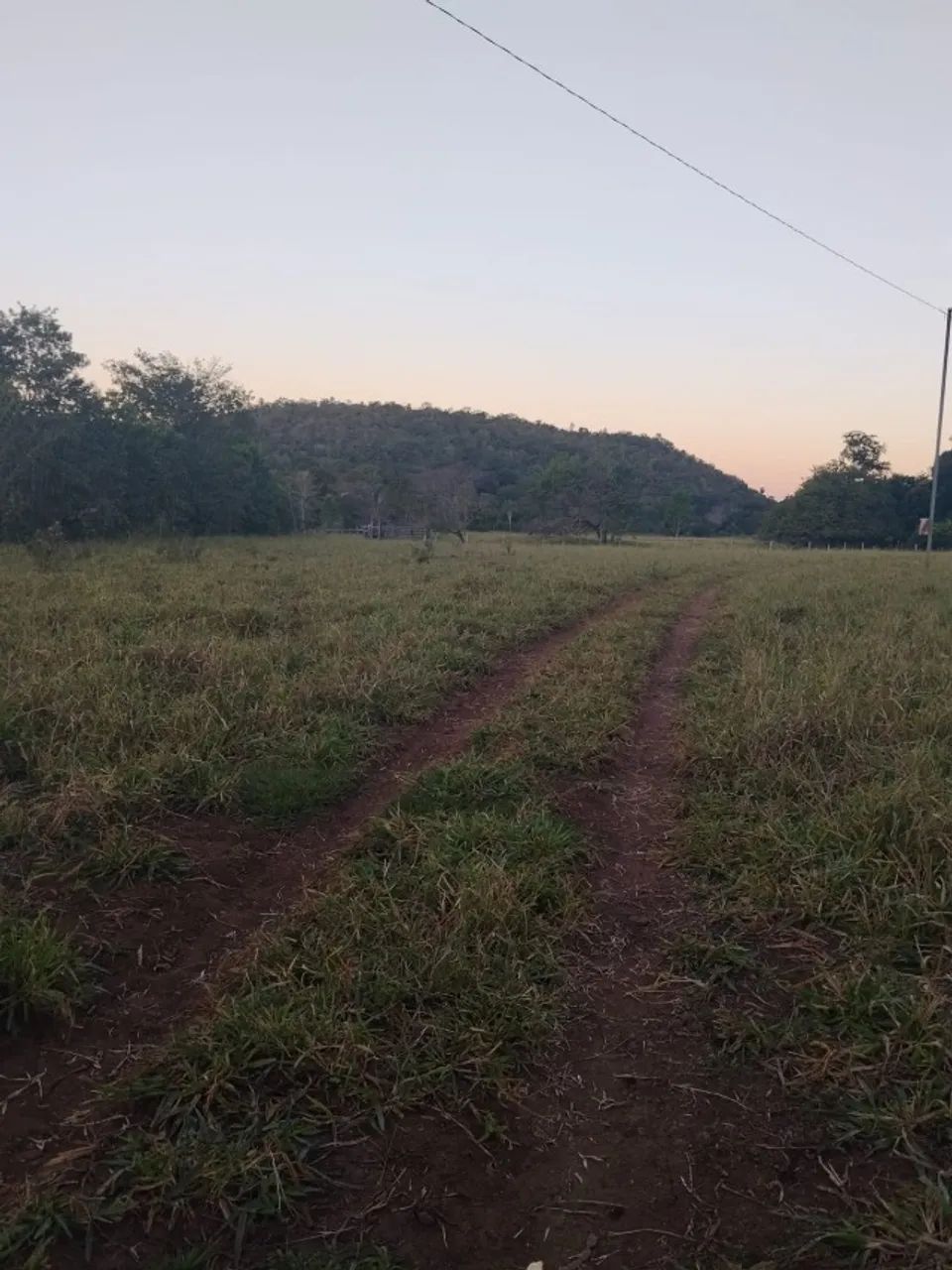Vendo chácara. 25,5 hectares  - Foto 2
