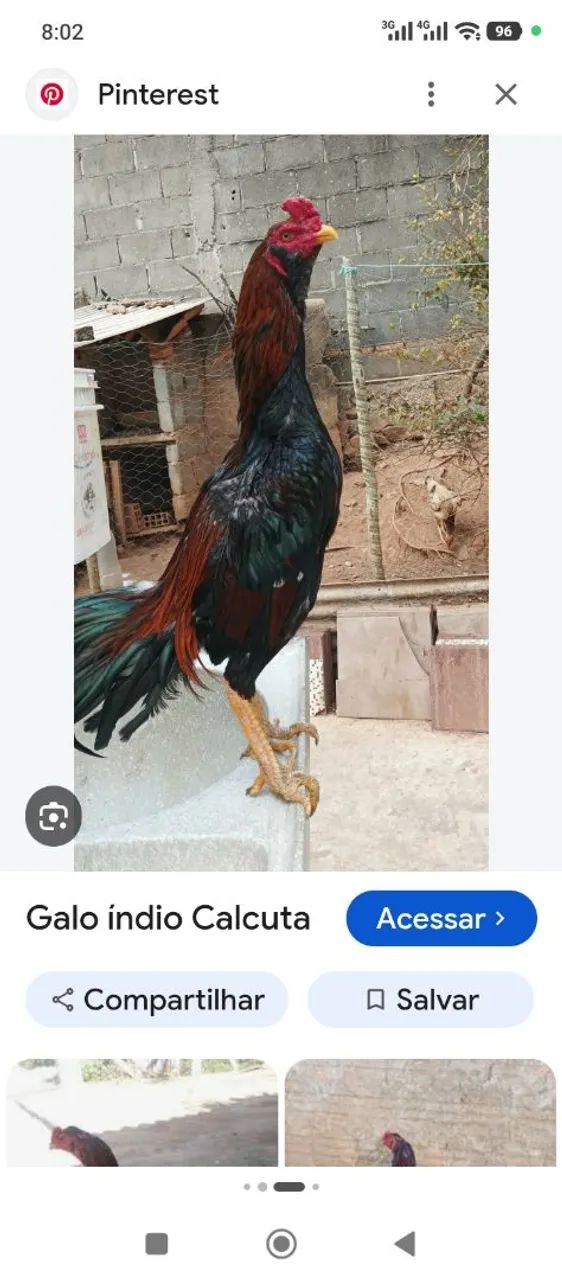 Estão disponíveis. Telefone * - Foto 5