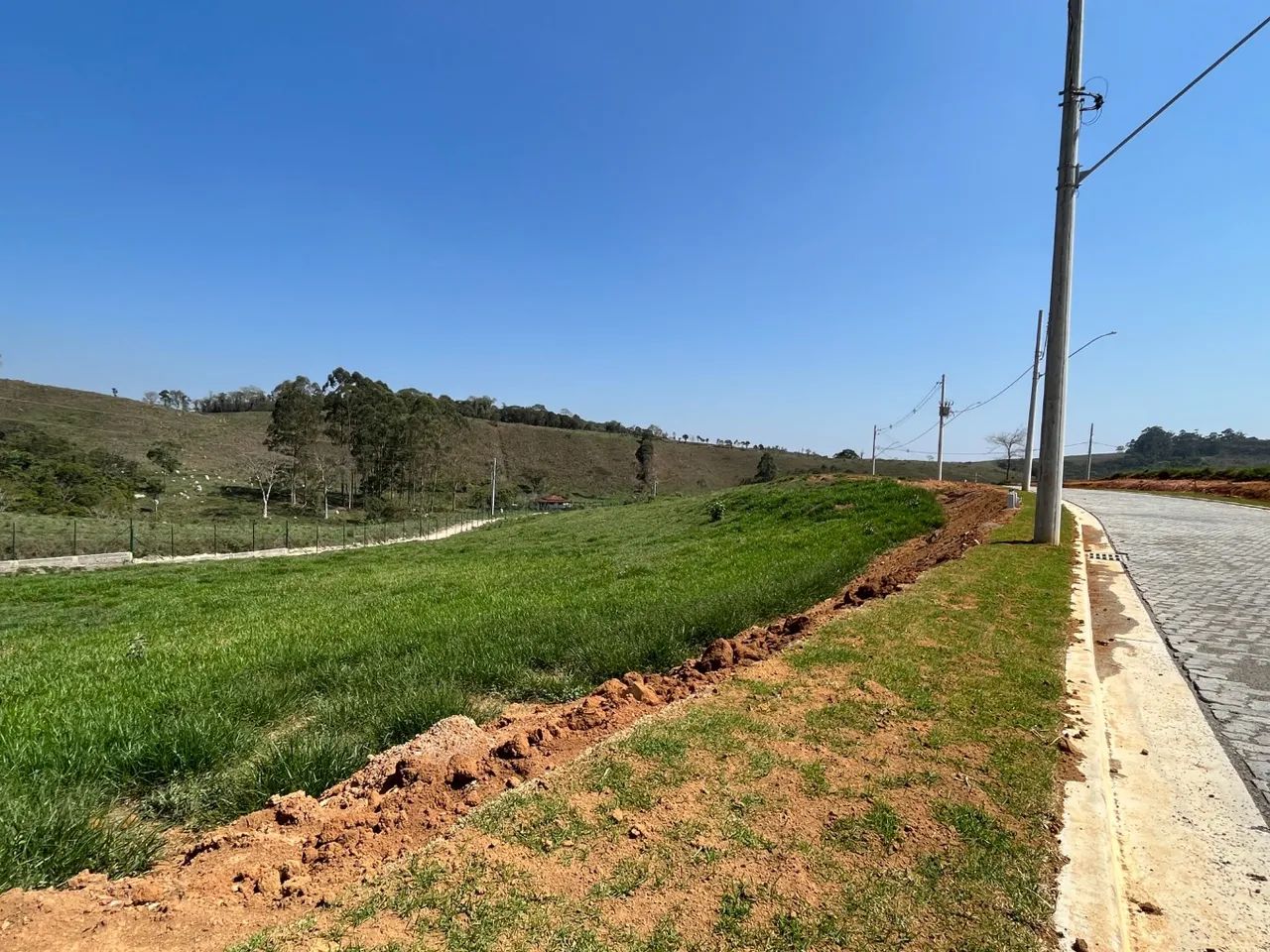 Lote / Terreno - São Pedro - Foto 4