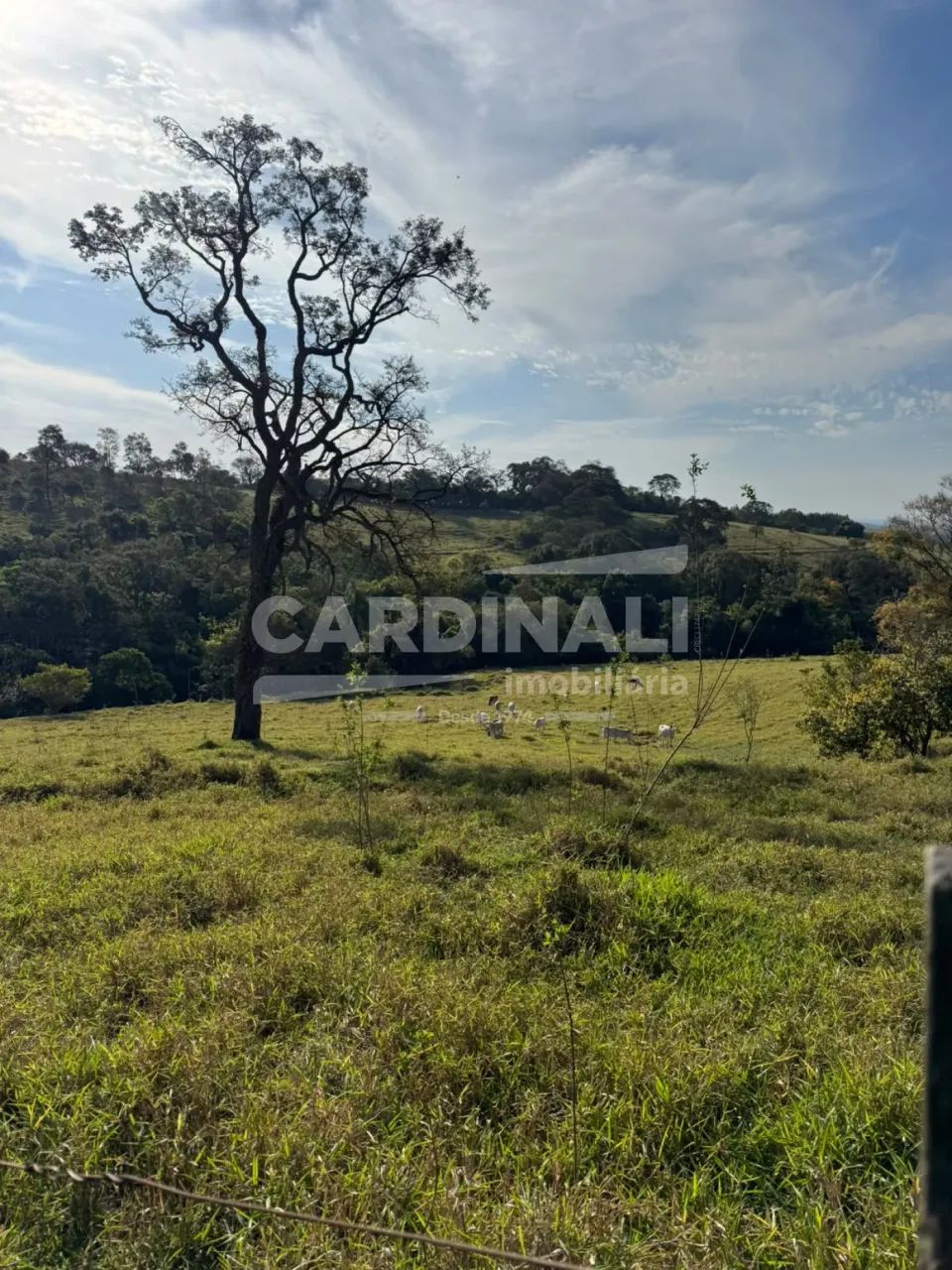 Área Rural à Venda em Itirapina/SP - Foto 2