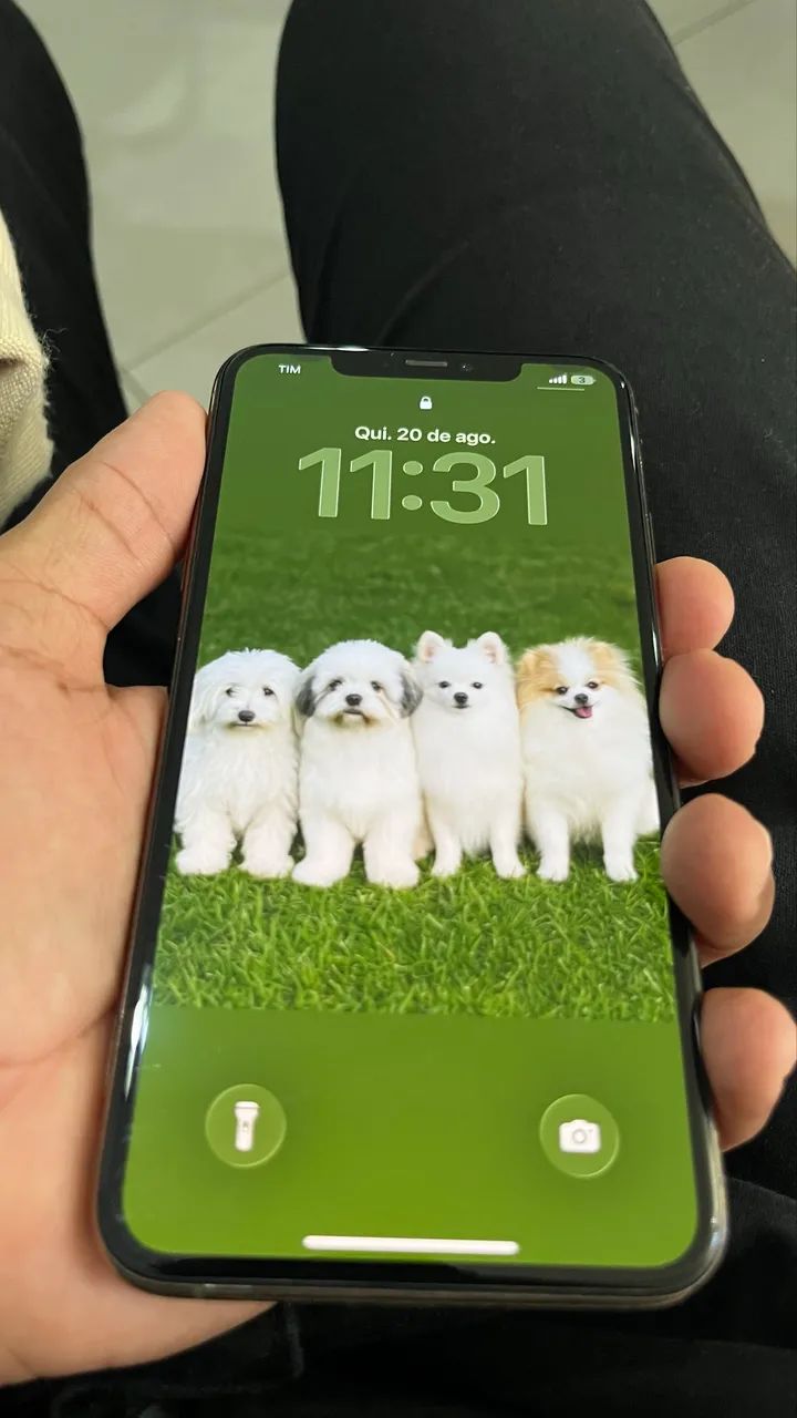 iPhone 11 pro max perfeito 