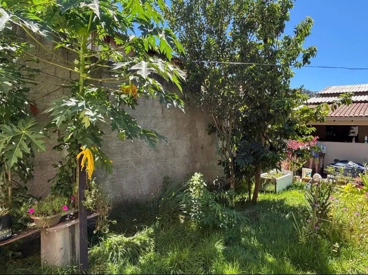 Chácara  - Foto 3