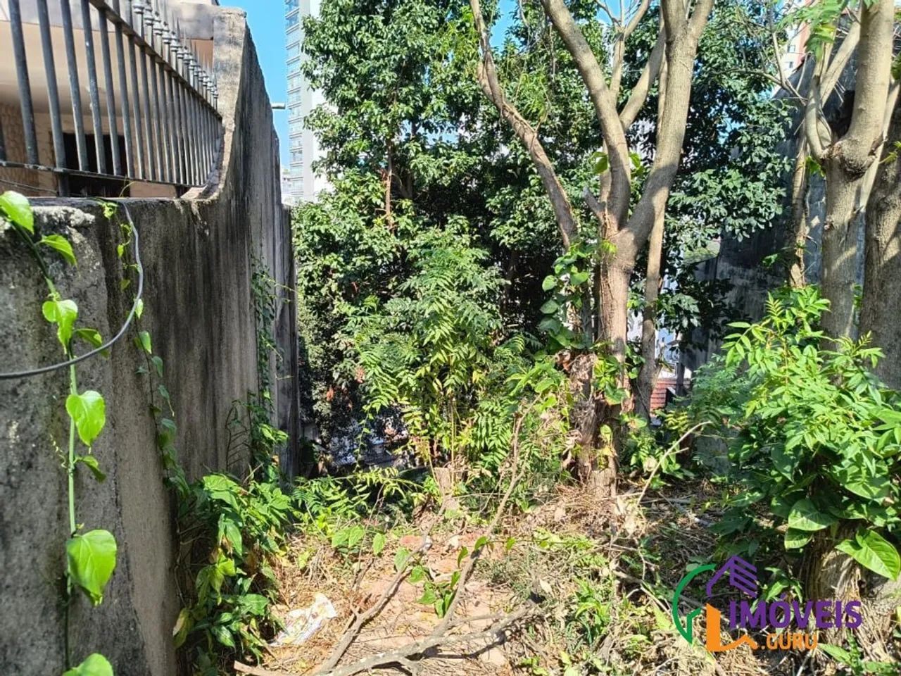 TERRENO - ALTO DA LAPA - SP - Foto 3