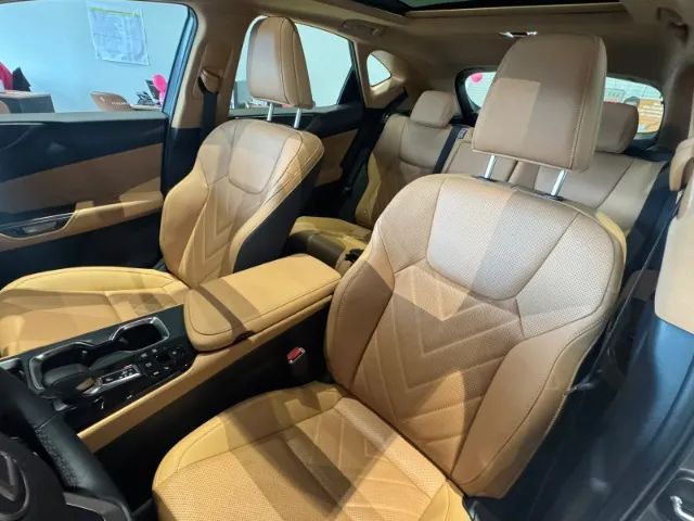 Lexus NX-450h+ AWD 2.5 16V Aut. (Híbrido), foto 16 de 17