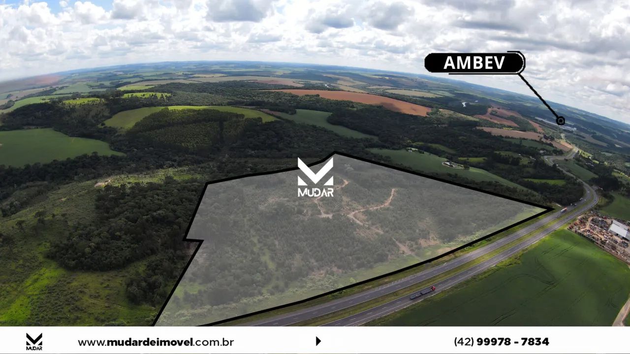 Área de frente pra BR 376 com 12 alqueires prox a Ambev - Foto 4