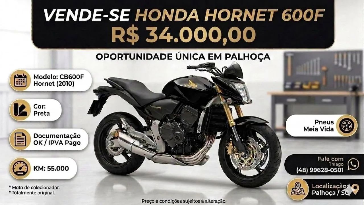 Hornet 600f 2010