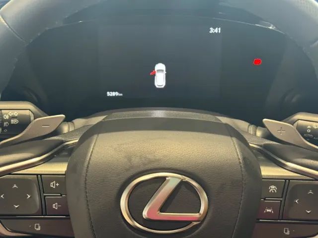 Lexus NX-450h+ AWD 2.5 16V Aut. (Híbrido), foto 14 de 17