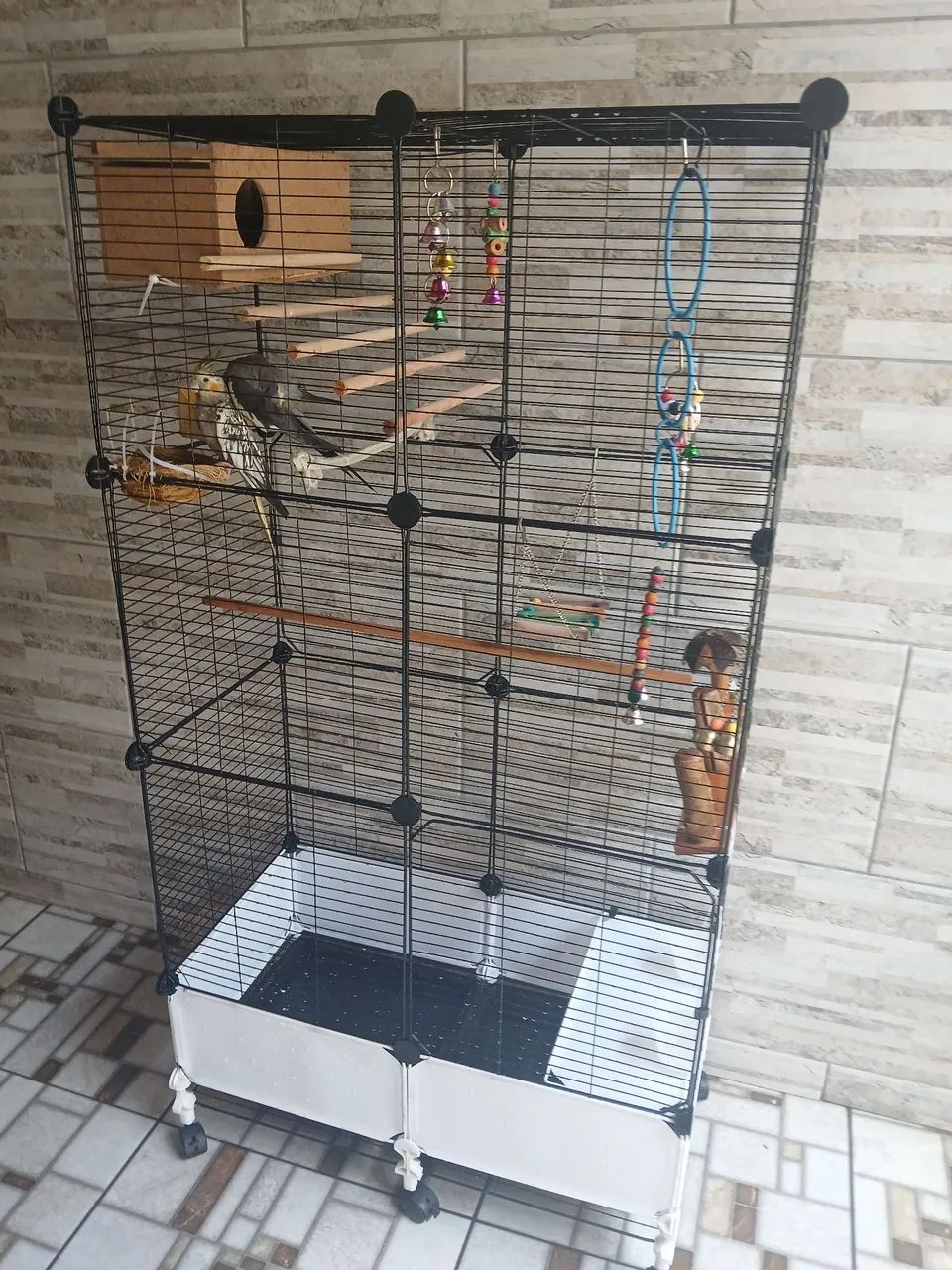 Gaiola Completa - Foto 2