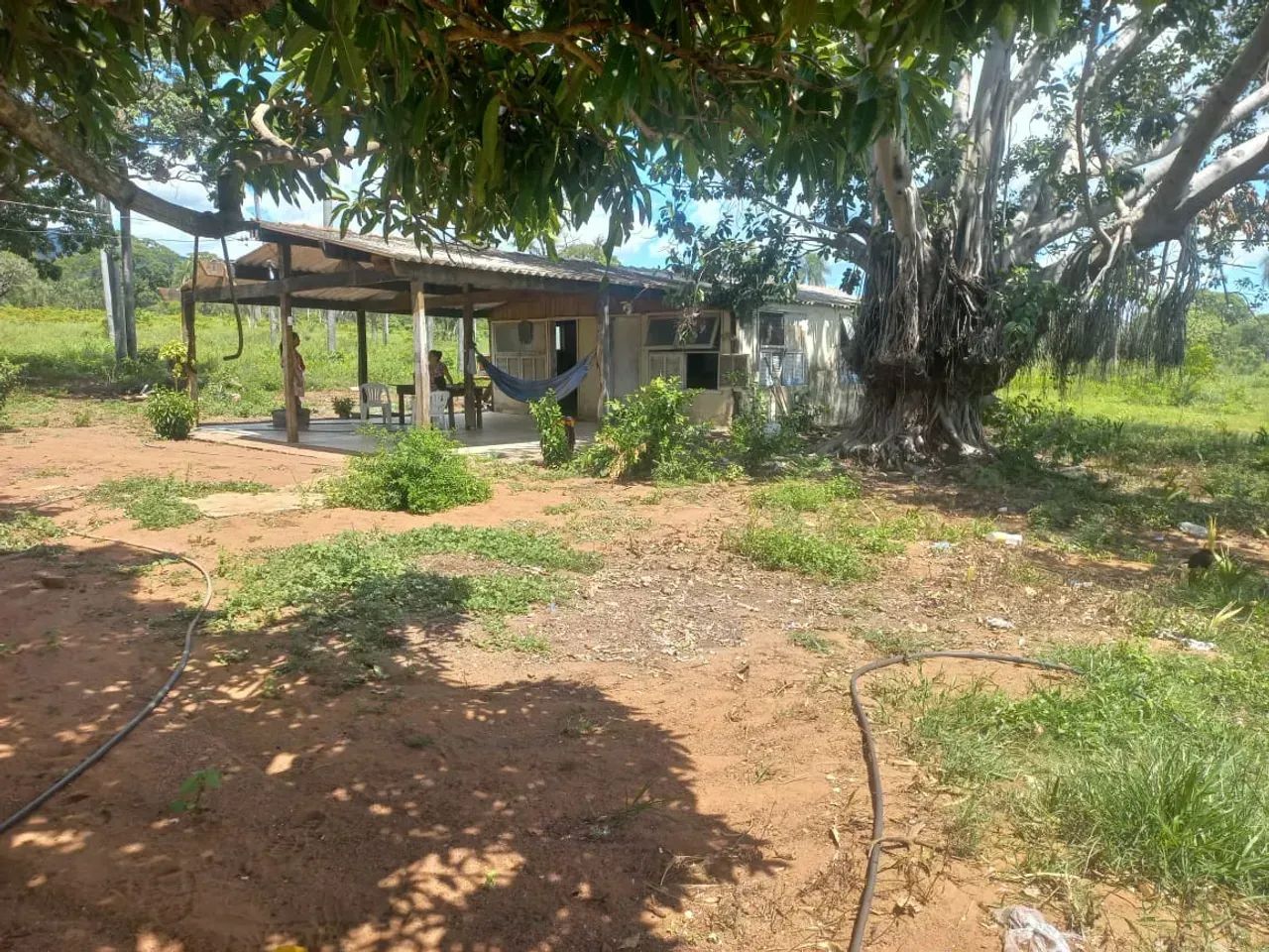 CÓD228  Fazenda 800 ha | Pantanal  25 km de Corumbá/MS - Foto 5