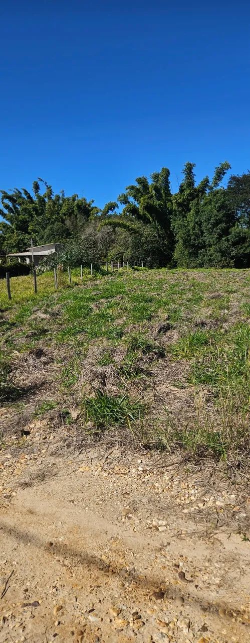 Lote de 1000m - Foto 3