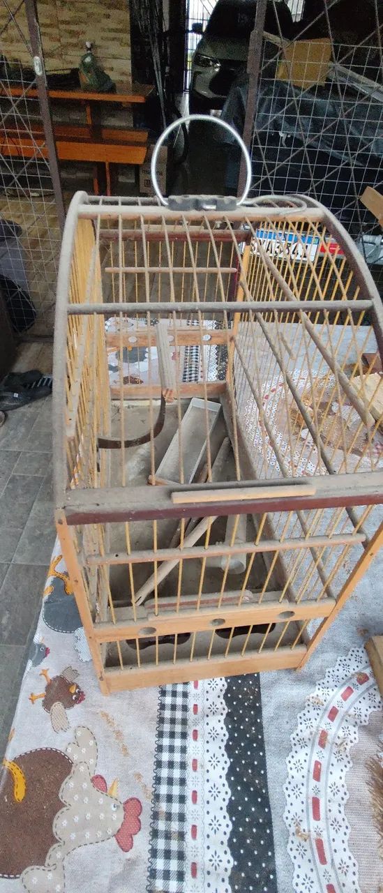 gaiola coleira  - Foto 4