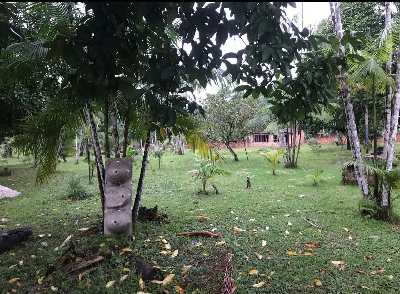 Vendo sitio em Benfica (Benevides) - Foto 4