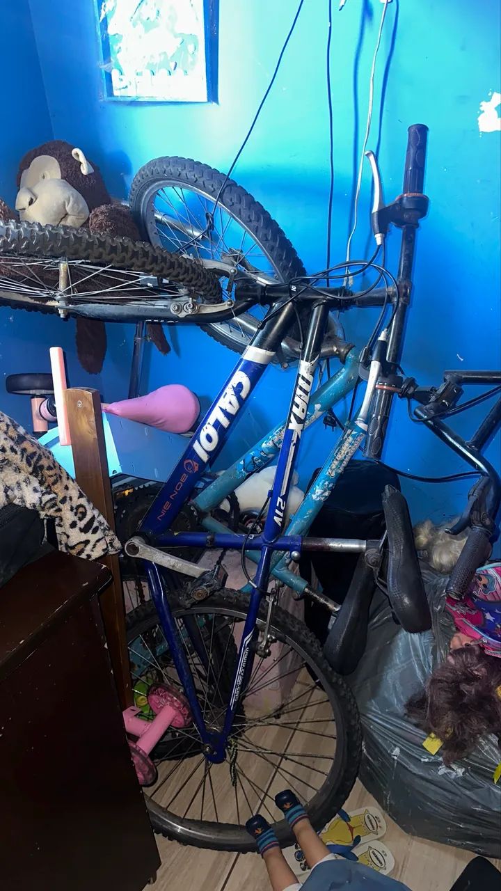 Bicicleta 