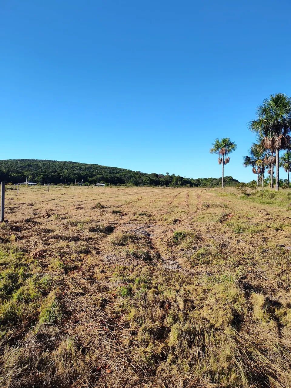 Terreno em tepequem  - Foto 2