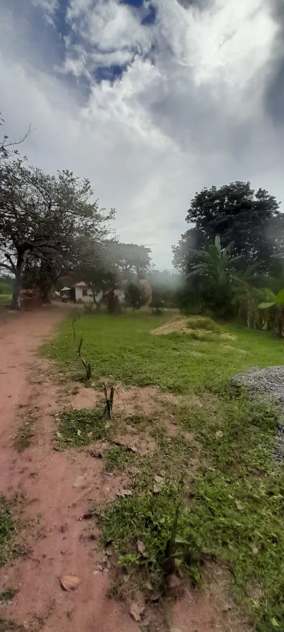Vendo ou Troco Sítio Em Paraipaba  - Foto 5