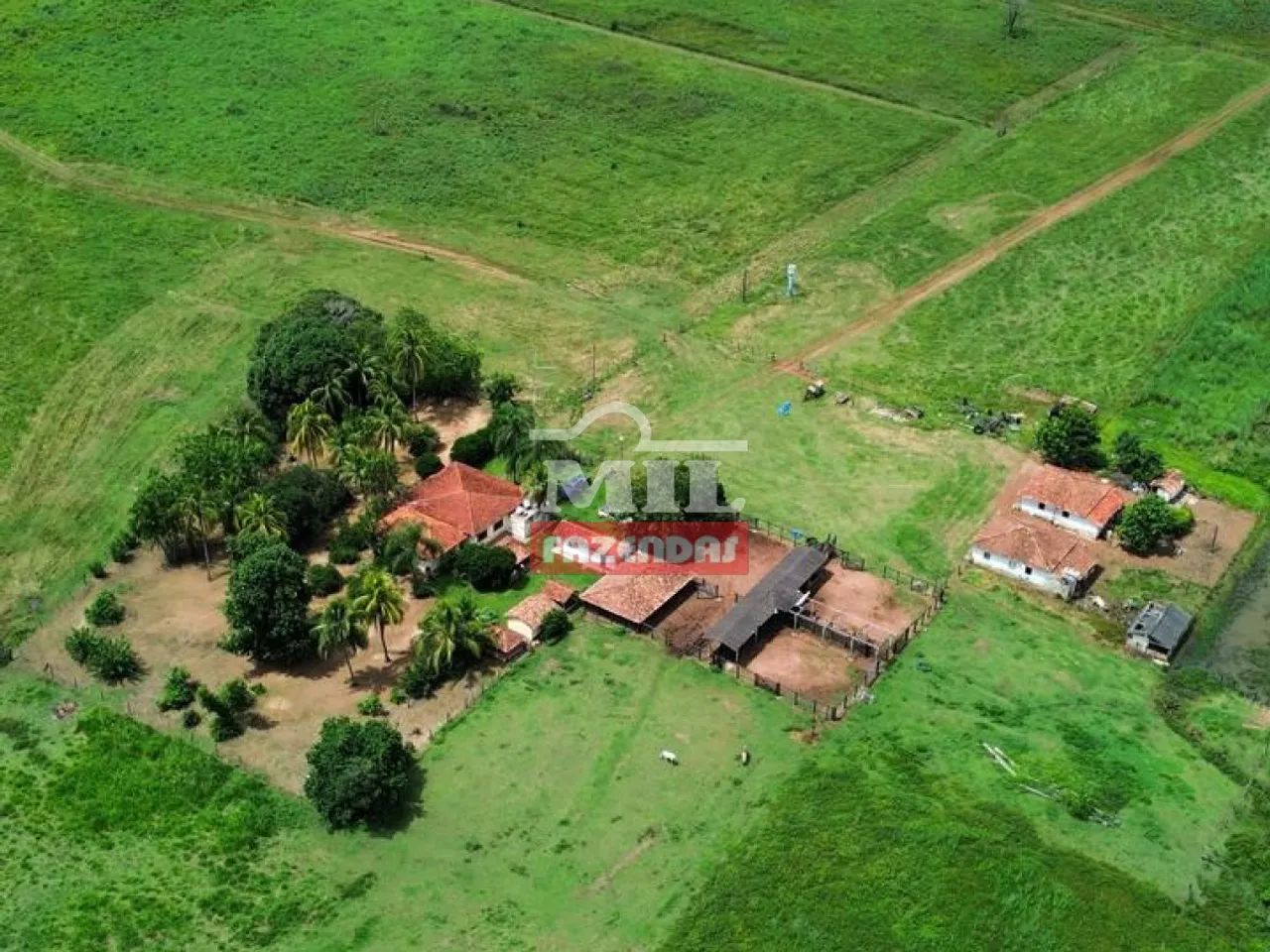 Fazenda 318 Alqueires (1.542 hectares) Alvorada - TO