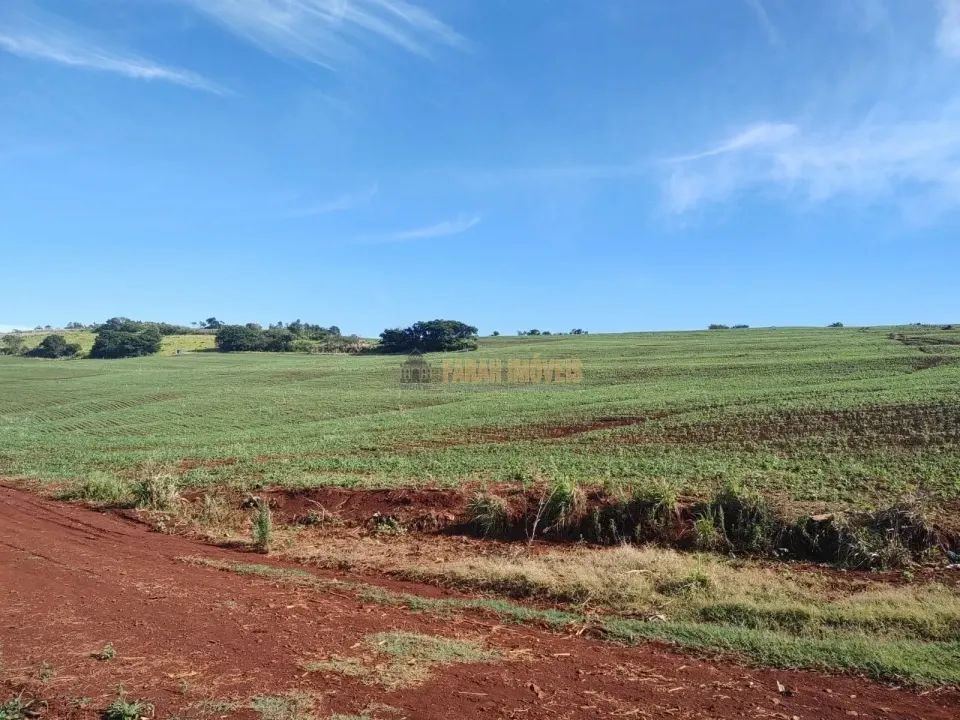 Fazenda 100 alqueires - Foto 4