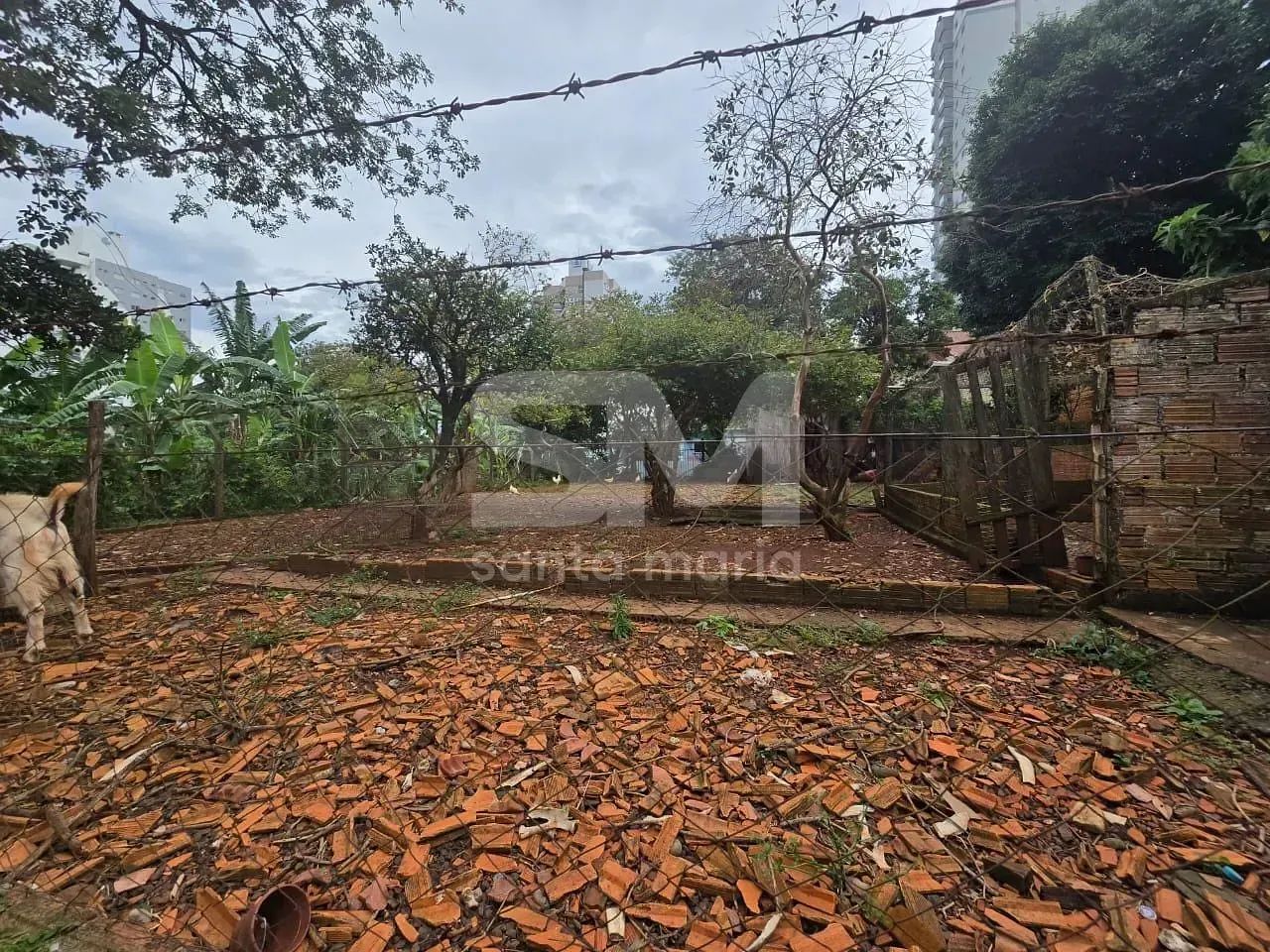 Casa à venda, Centro, Chapecó, SC - Foto 5