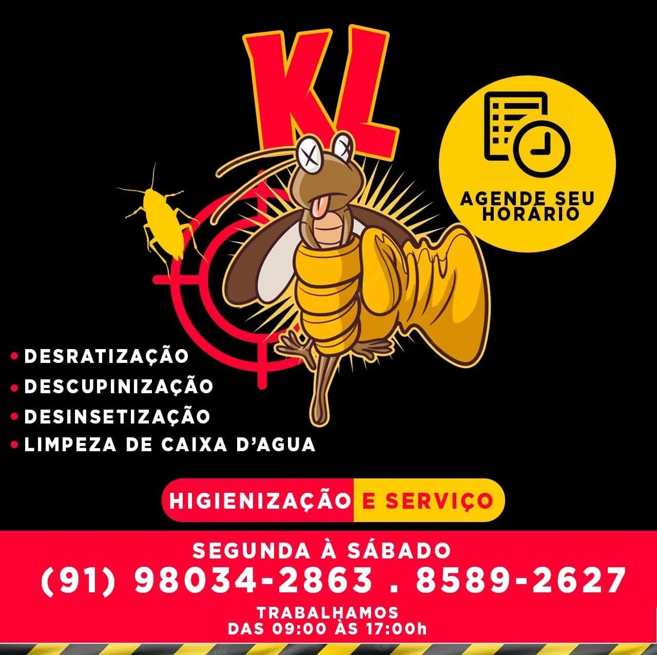 DEDETIZAÇÃO KL DEDETIZAÇÃO  - Foto 3