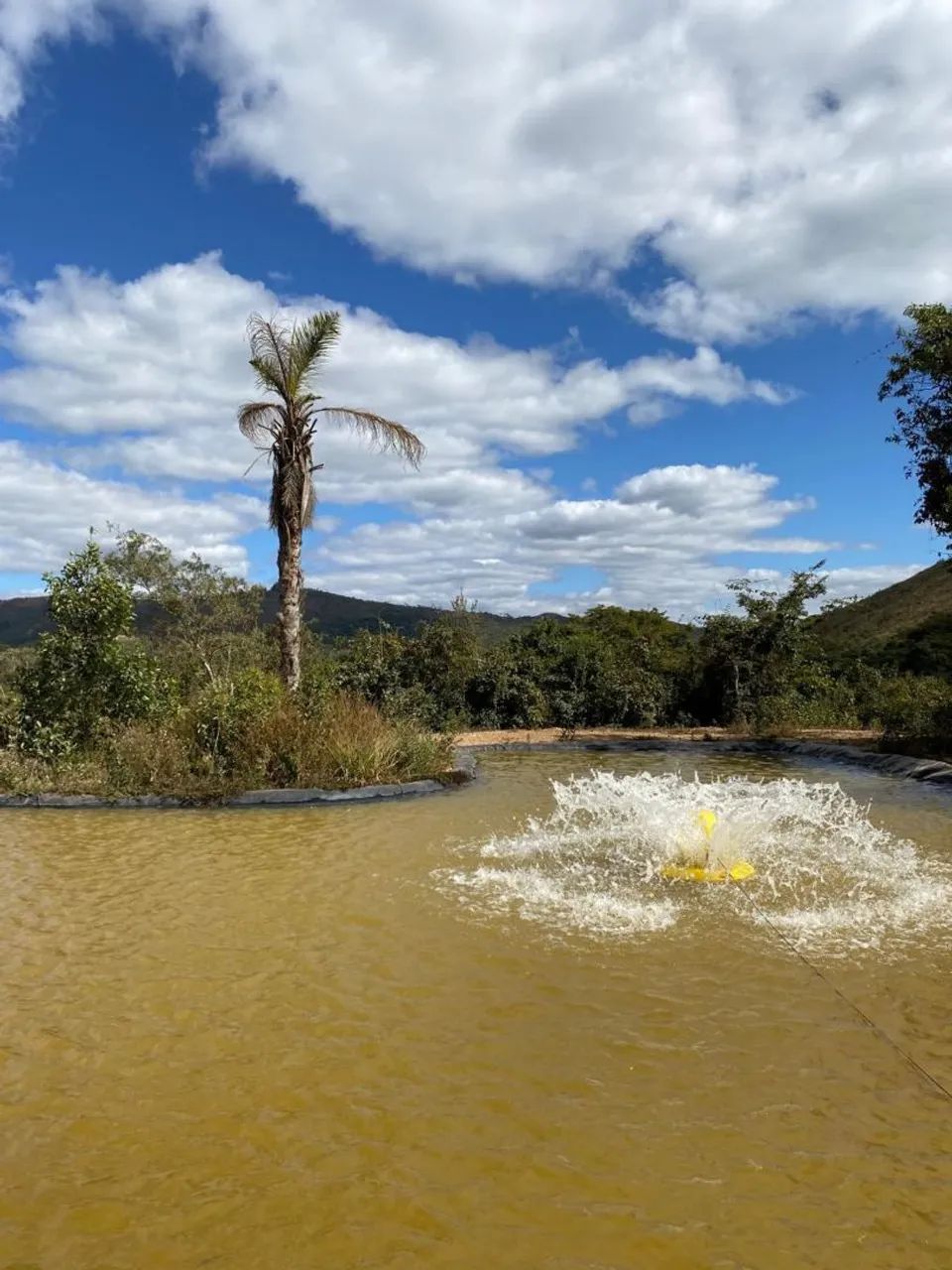 Terreno para fazer um sítio  com lagoa 