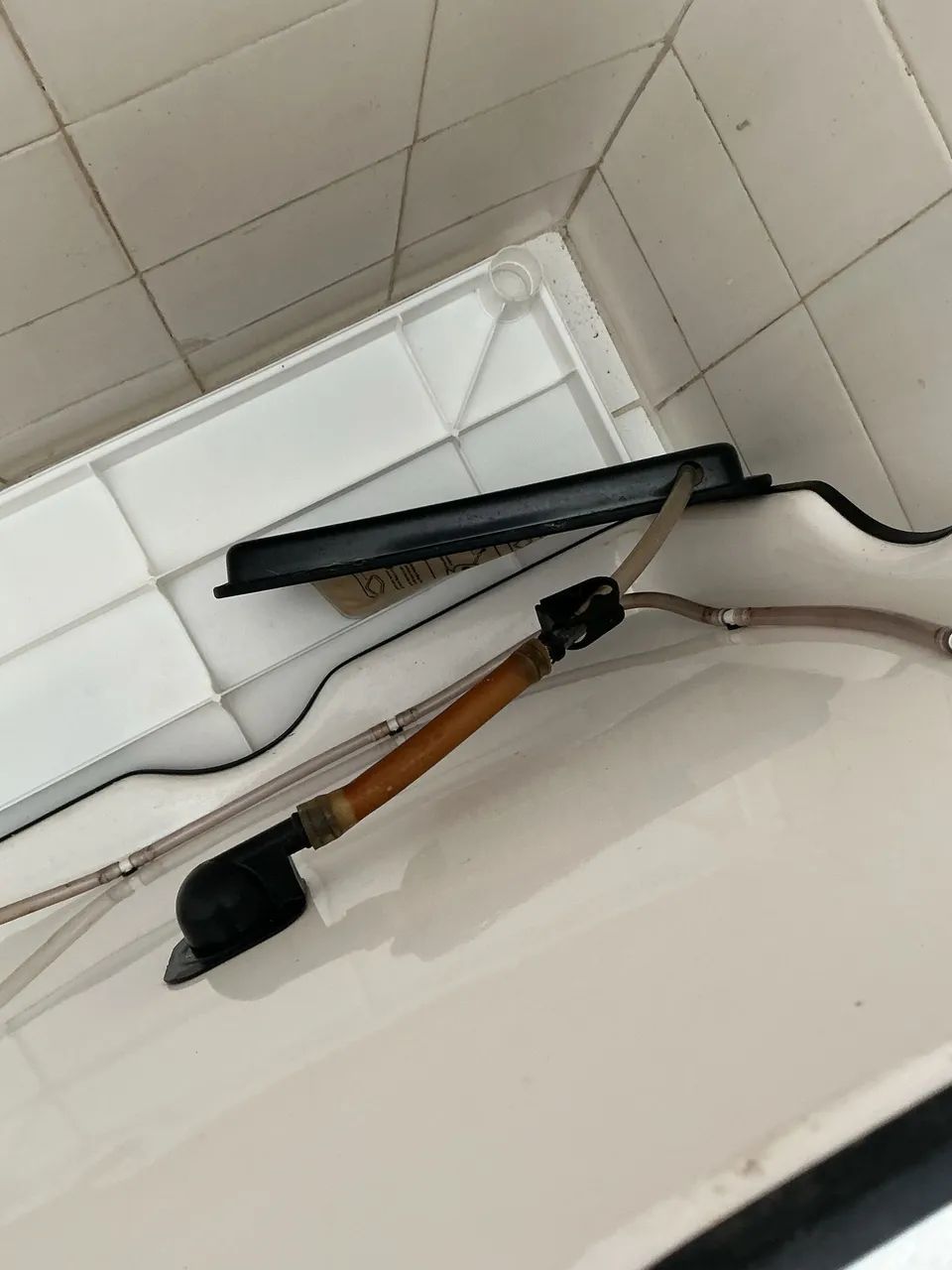 Weasy inteligente para cães  - Foto 4