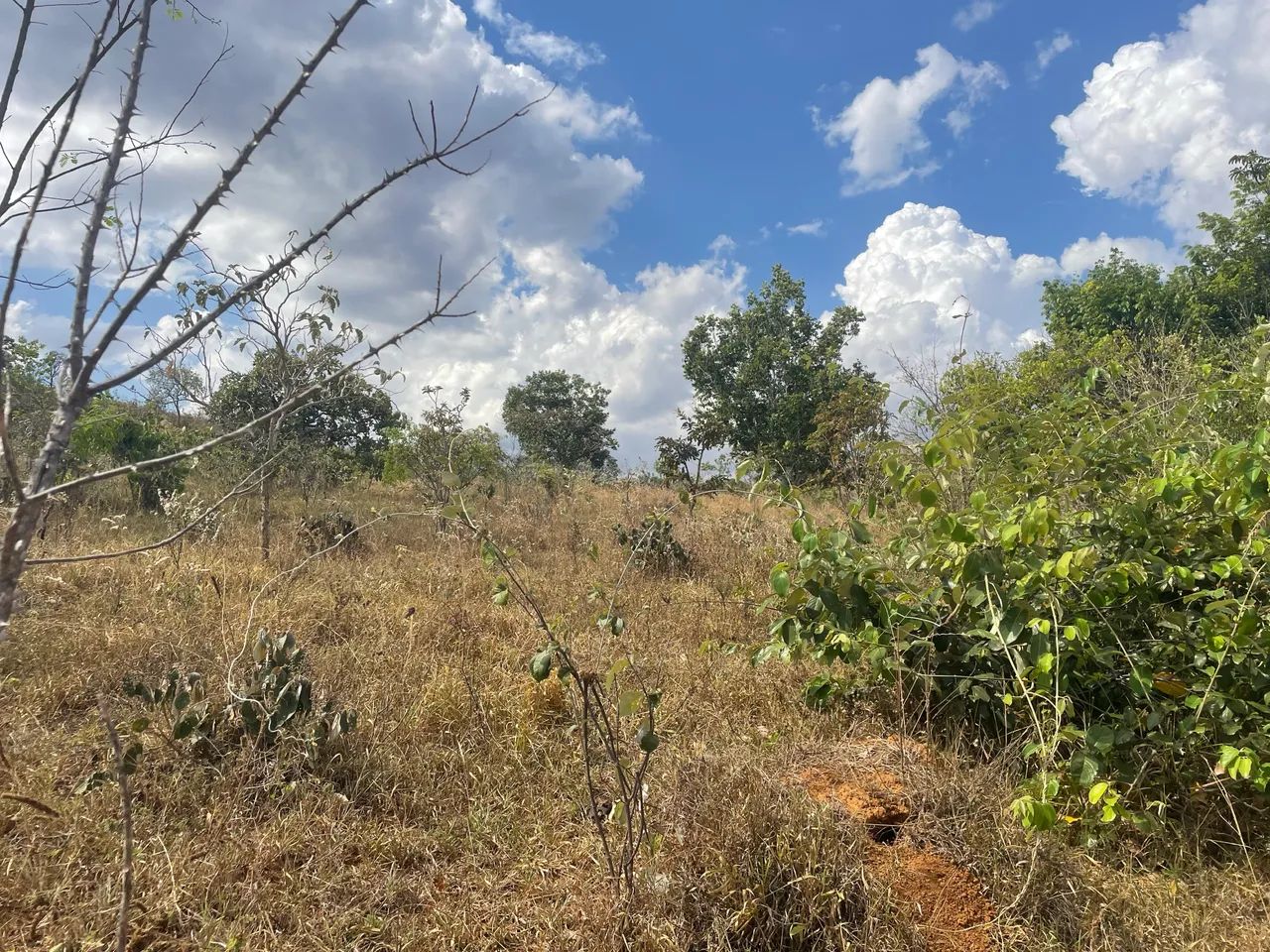 VENDE-SE ? ÁREA DE 20.000 m² próximo à Pirenópolis  - Foto 5