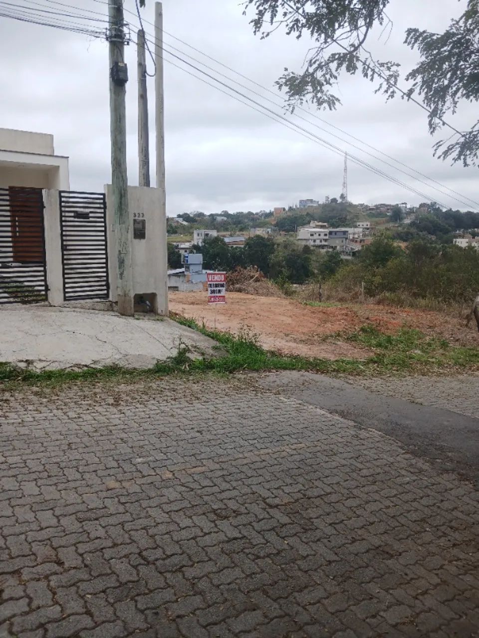 Foto - Volta Redonda - Santa Cruz