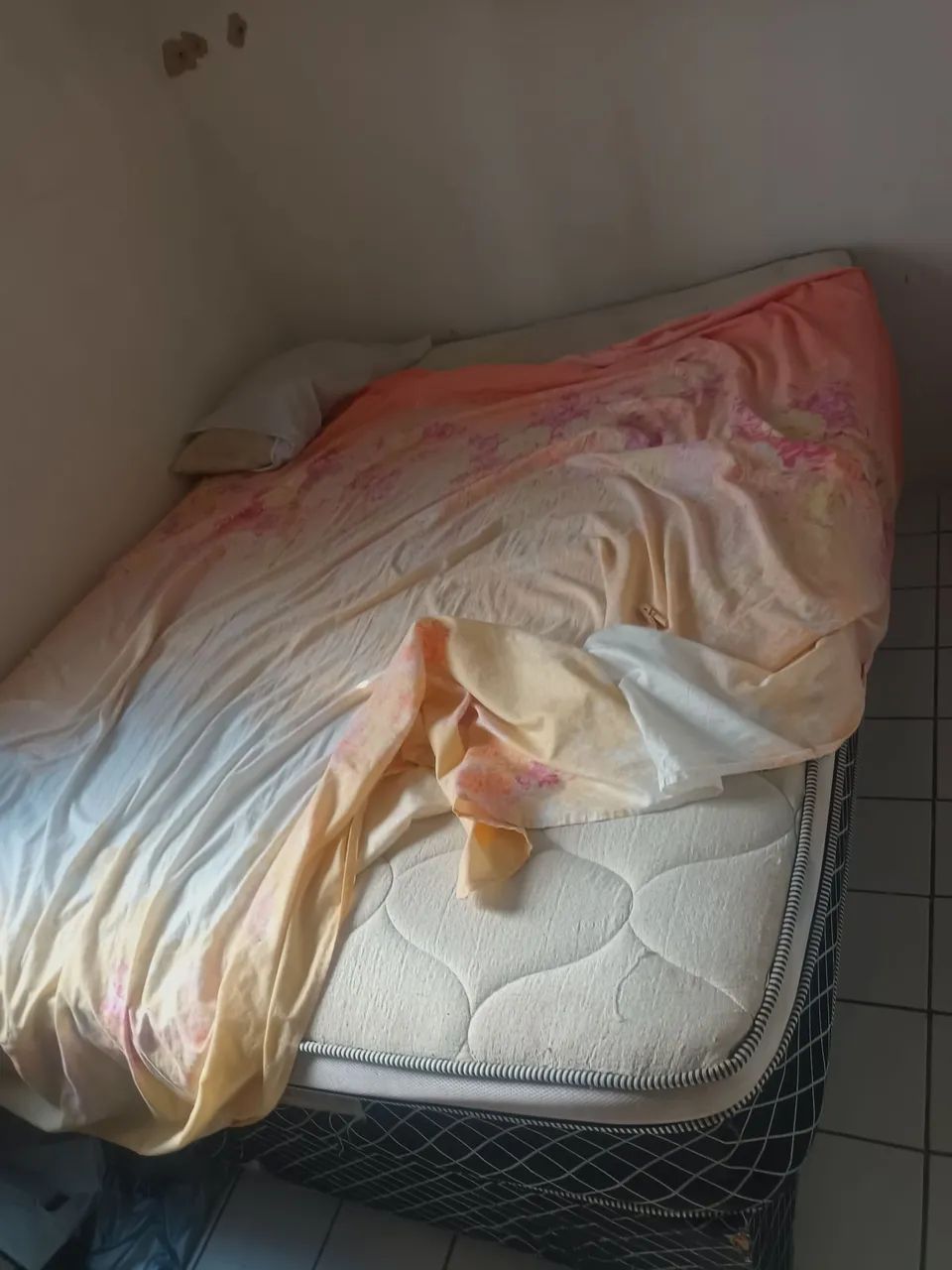 Cama 