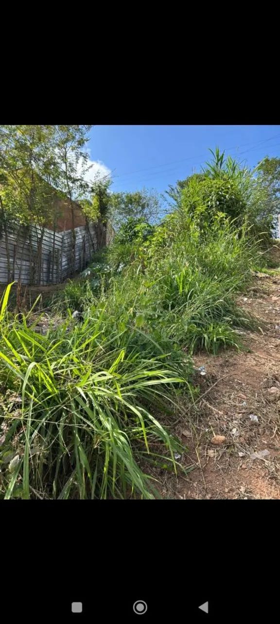 Foto - Juiz de Fora - Bandeirantes