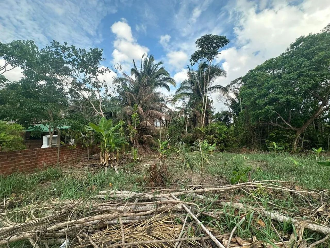 Terreno Zona Leste - Estuda-se Trocas - Foto 3
