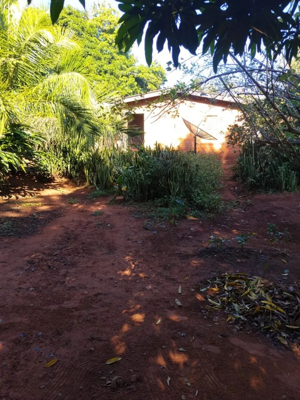 Vendo chácara. 25,5 hectares  - Foto 5