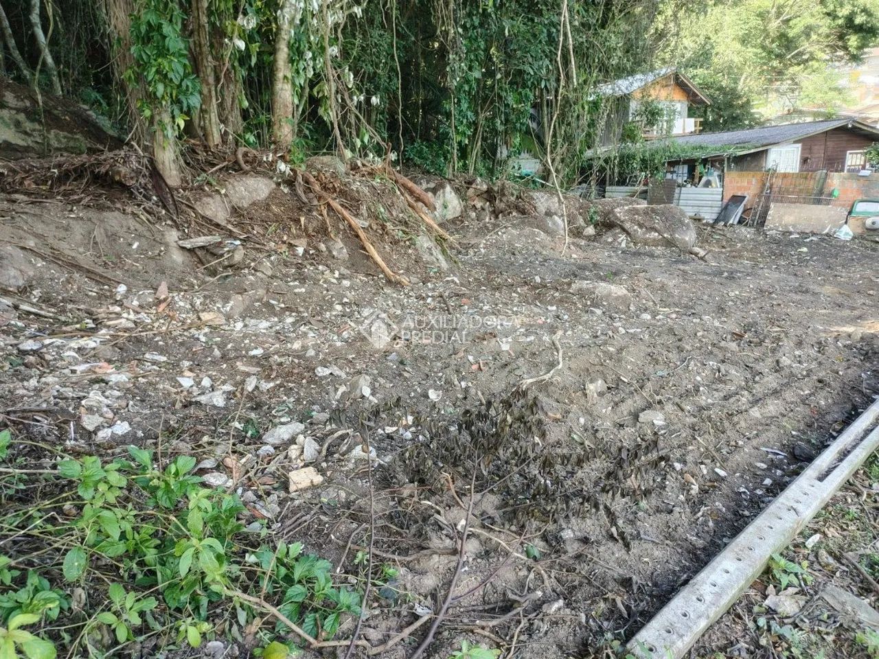 Lindo lote com 35.000m ² com viabilidade construtiva no Ribeirão da Ilha. - Foto 3