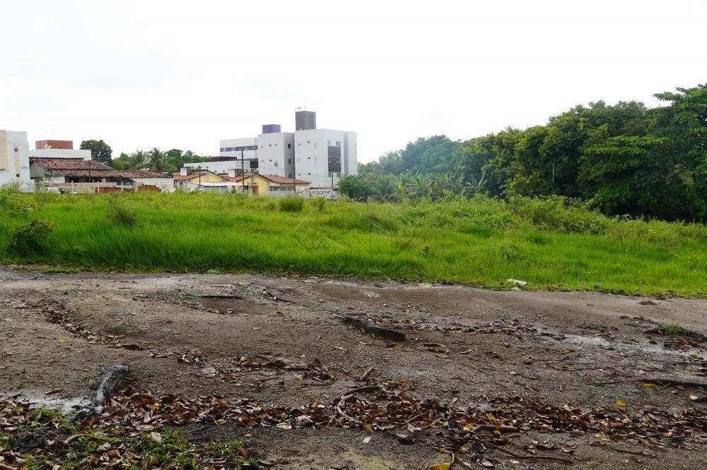 TERRENO COM 4.300,00m² na principal do Geisel x Valentina - Foto 3