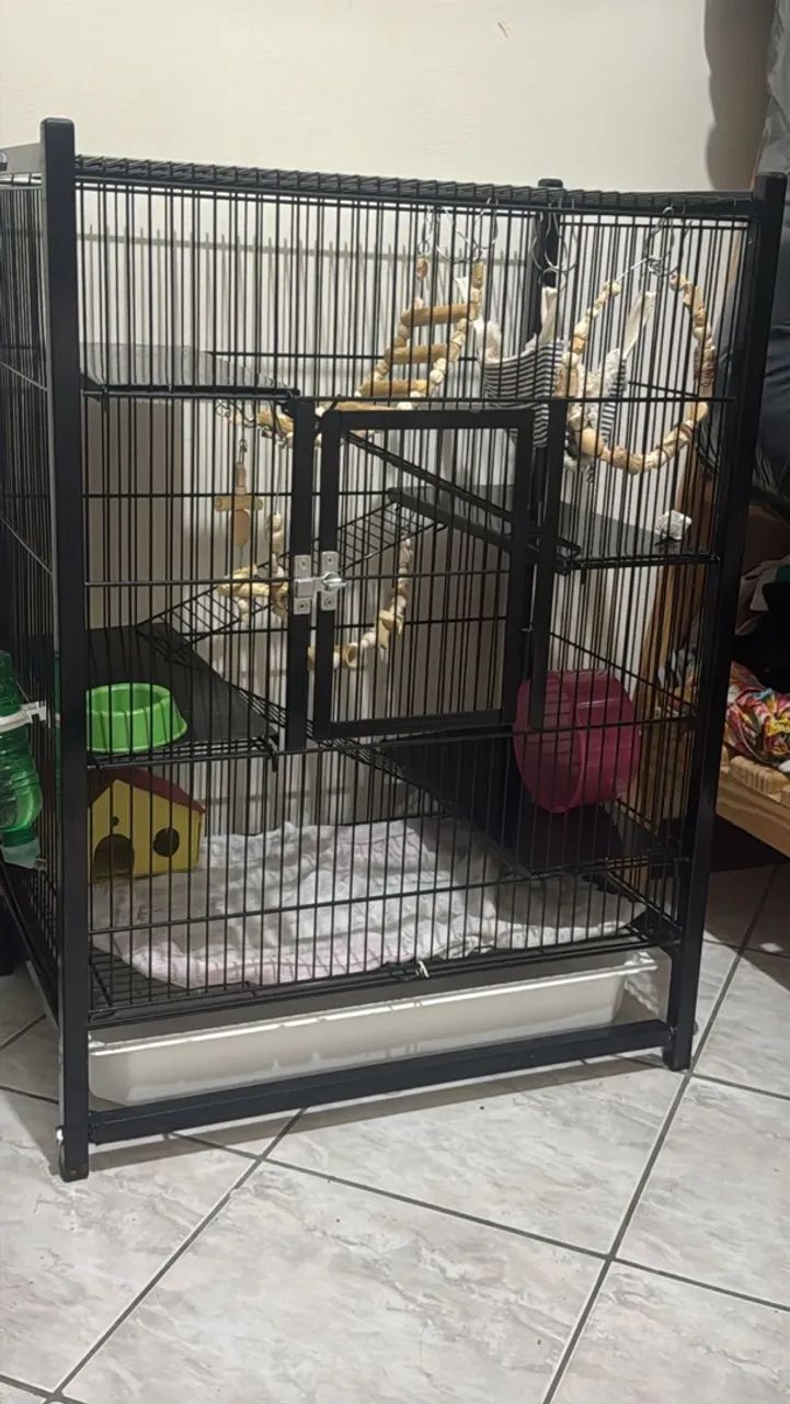 Gaiola para Ratos