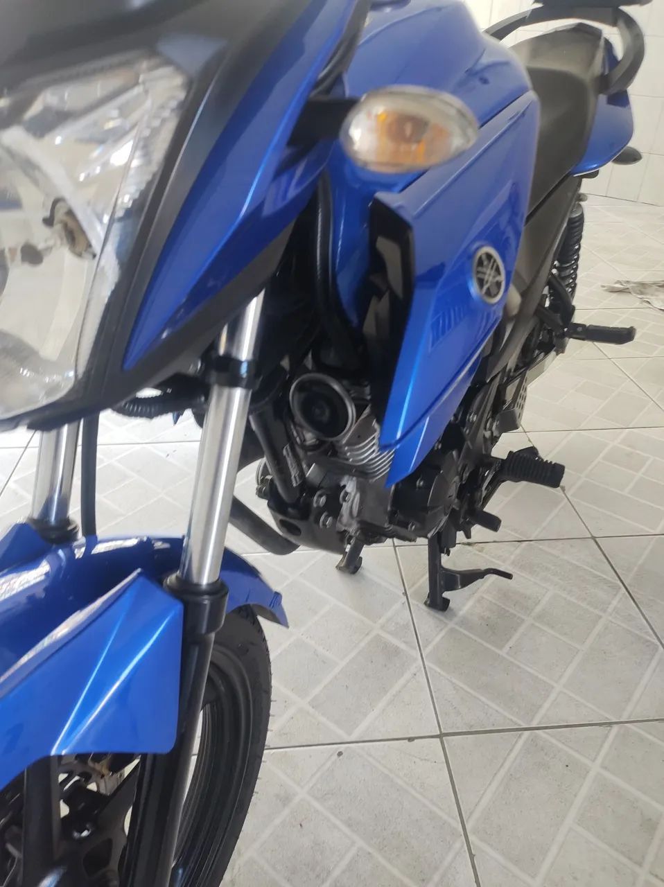 Fazer Azul 2022 - Foto 5