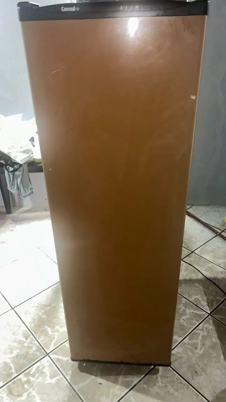 Freezer vertical consul Hoje