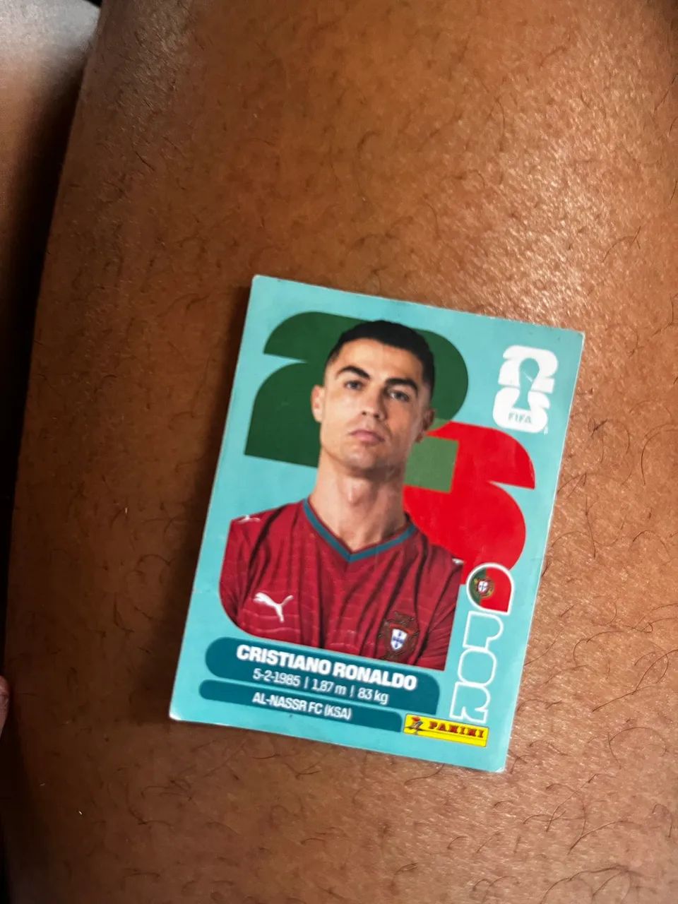 Carta da copa 2026?
