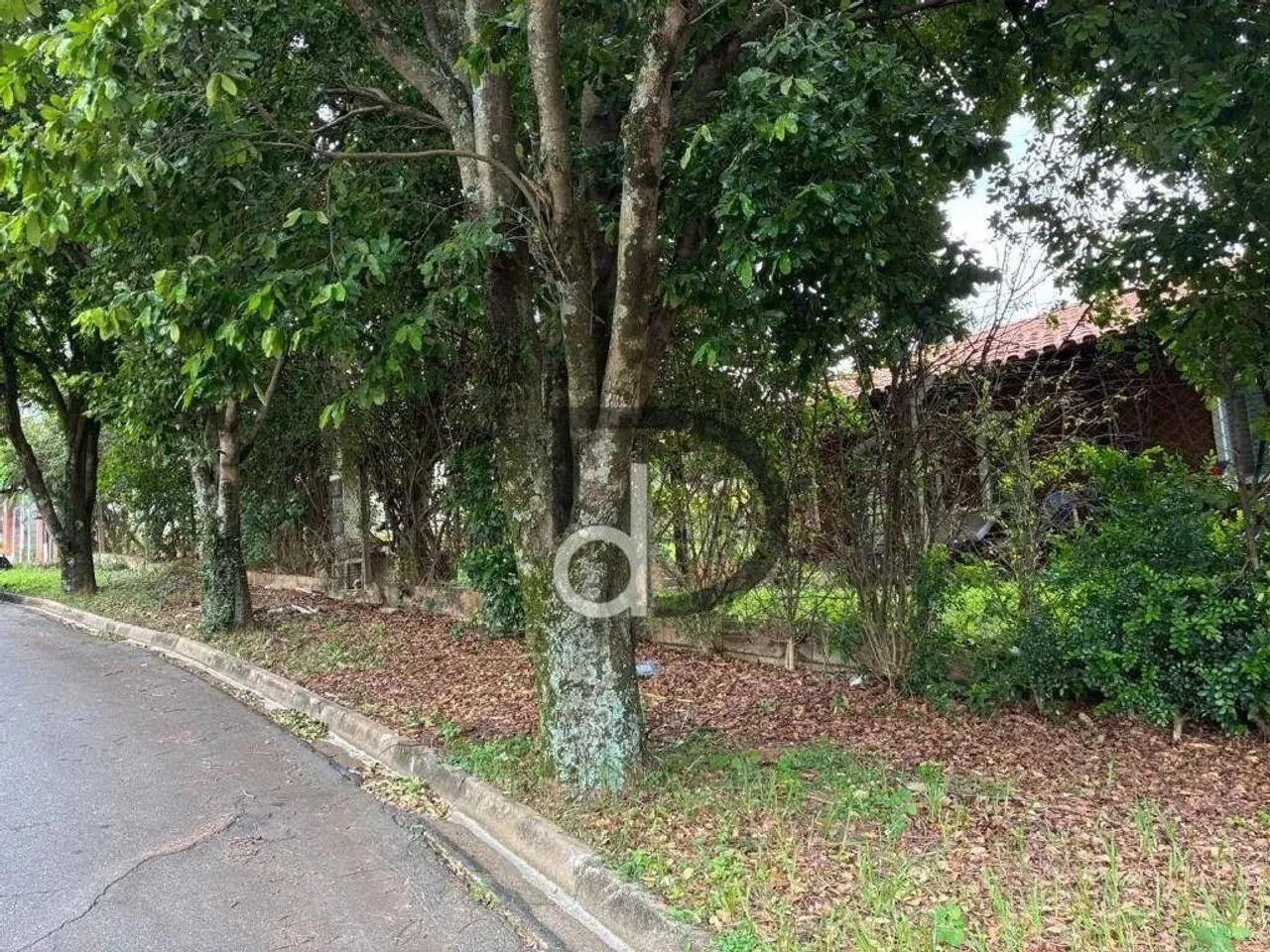 Chácara em ótima localização no Panorama, com 923 m2 de área total. - Foto 2