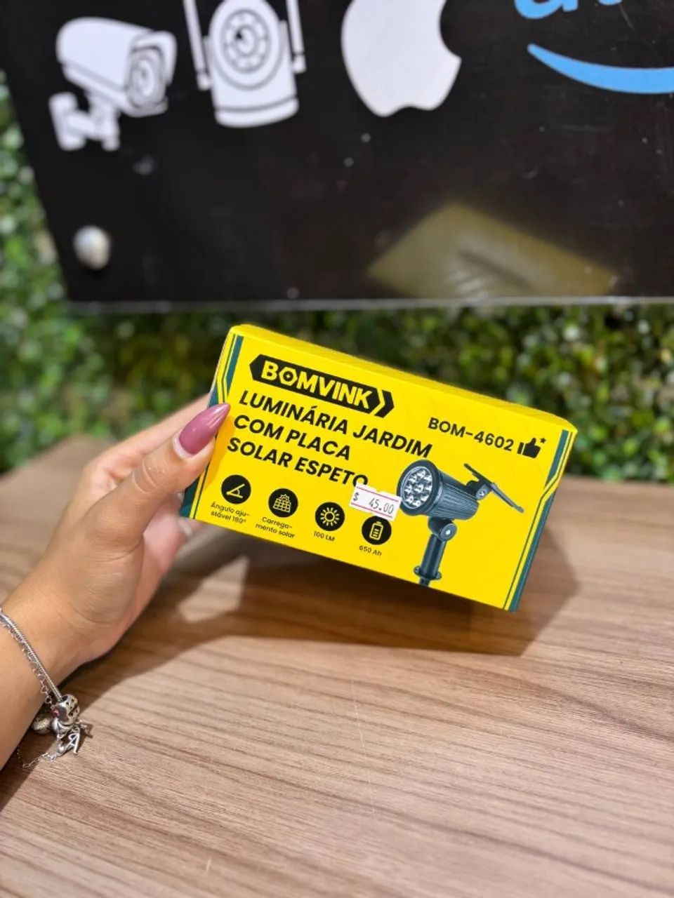 Luminária de Jardim com Placa Solar e Espeto BOMVINK BOM-4602