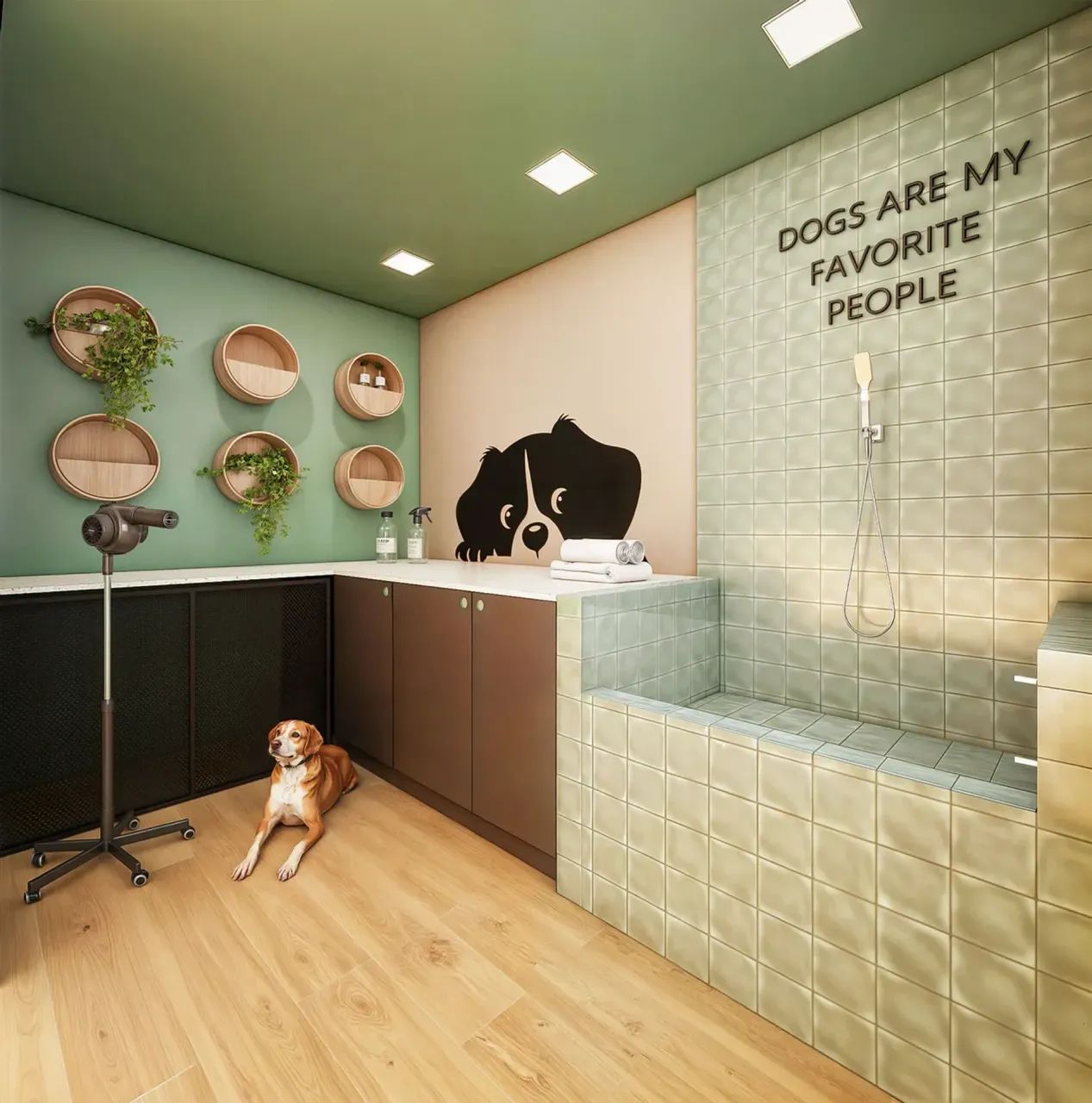 ALTUS AMERICA - Foto 11