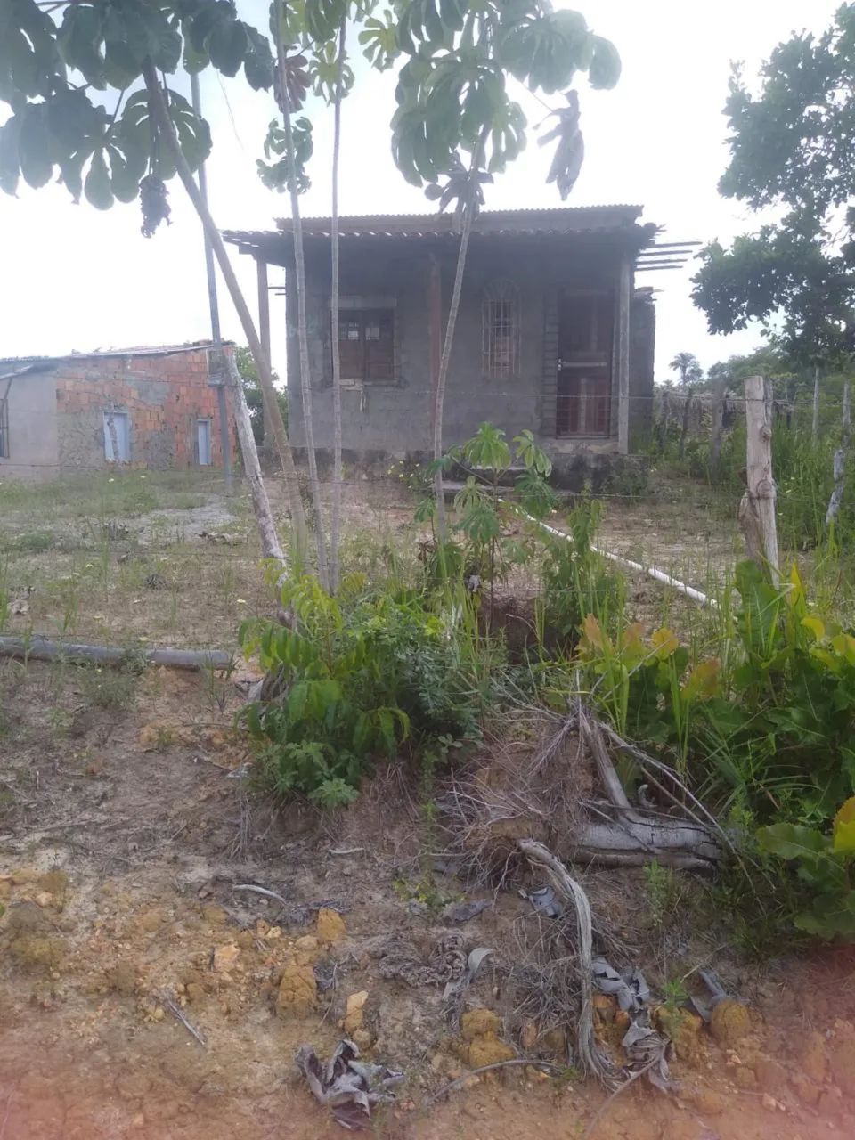 Terrenos e casa em área de praia - Foto 4