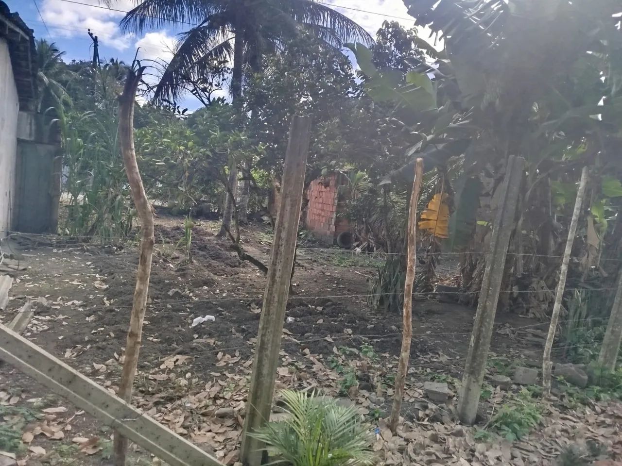 Terreno  - Foto 2