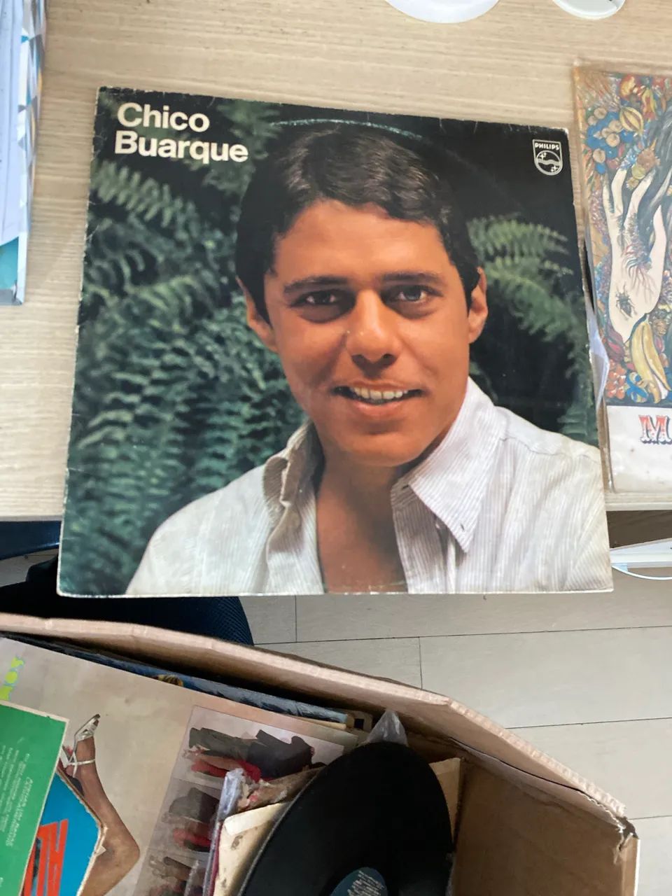 Disco de vinil 